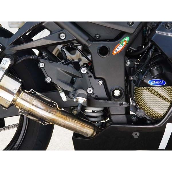 BABYFACE ベビーフェイス セットバックプレート ニンジャ250R KAWASAKI カワサキ ステップ 足回り
