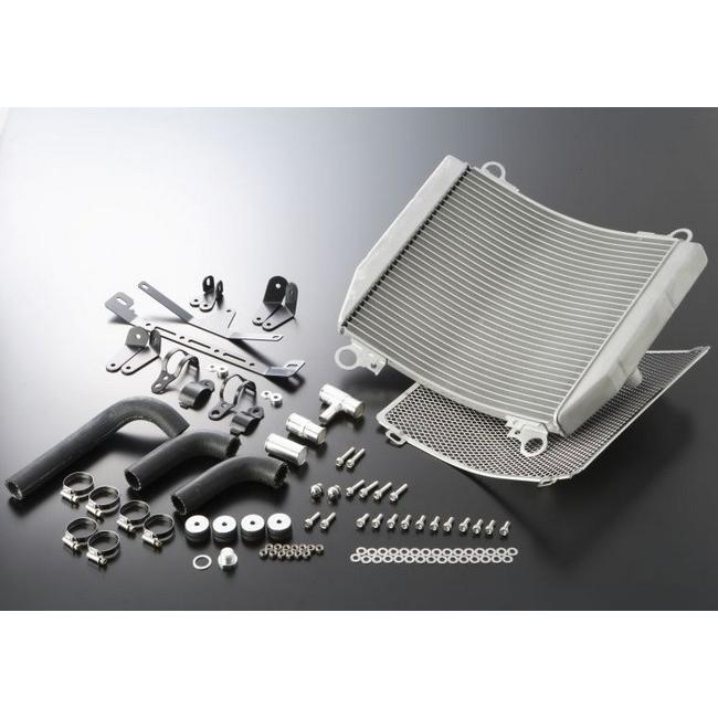 ACTIVE アクティブ ビッグラジエーターキット [TYPE-3] カラー：シルバー GPZ750R GPZ900R KAWASAKI カワサキ ラジエーター 冷却関連 エンジン | ACTIVE（釣り） | 01