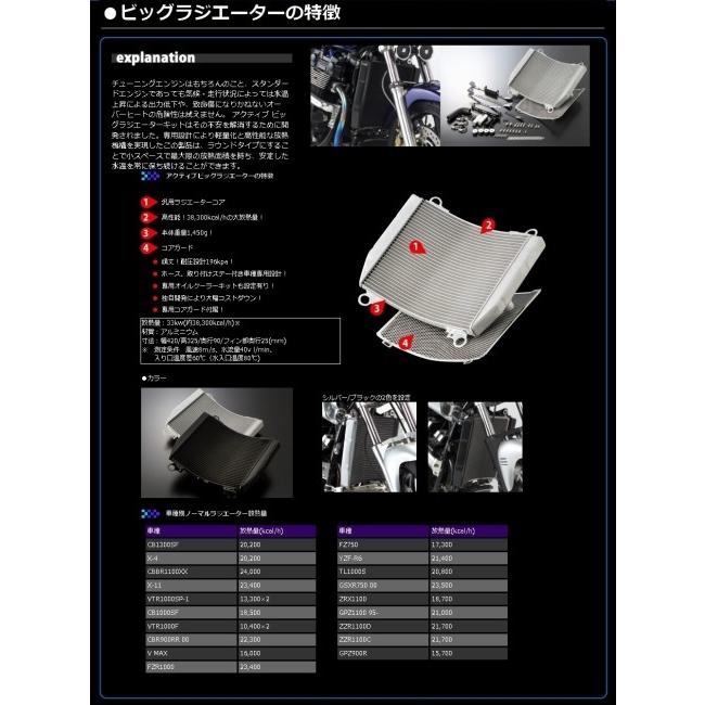 ACTIVE アクティブ ビッグラジエーターキット [TYPE-3] カラー：シルバー GPZ750R GPZ900R KAWASAKI カワサキ ラジエーター 冷却関連 エンジン | ACTIVE（釣り） | 04