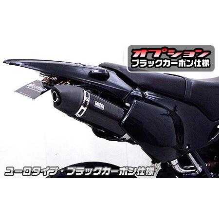 WirusWin ウイルズウィン スリップオンマフラー スポーツタイプ