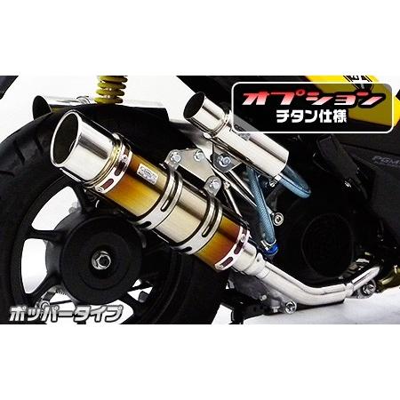 匿名配送 WirusWin WirusWin:ウイルズウィン ロイヤルマフラー スポーツタイプ チタン ズーマーX HONDA ホンダ 【J6325470786】(23023円)