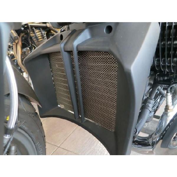 Sasaki sports club - ササキ運動競技野球クラブ チタンオイルクーラープロテクター R1200R BMW ラジエーターコアガード・オイルクーラーコアガード 落ち居るかかわり合い 冷却系パーツ-バイク