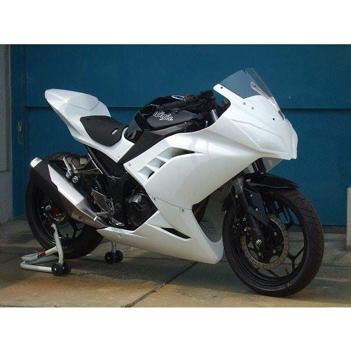 CLEVER WOLF クレバーウルフ フルカウル ニンジャ250 KAWASAKI カワサキ フルカウル・外装セット カウル関連 外装