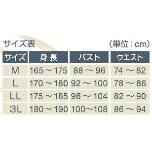 カワサキ（Kawasaki） GWSストリートライダージャケット サイズ：LL