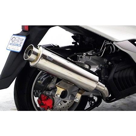 ウイルズウィン マジェスティS マジェスティS（SMAX）用 WirusWin 