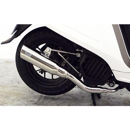 WirusWin（ウイルズウィン） ダンク(AF74)用テイストマフラー ダンク