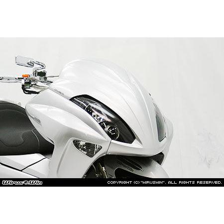 WirusWin（ウイルズウィン） ソリッドバイザーカウル 塗装無し