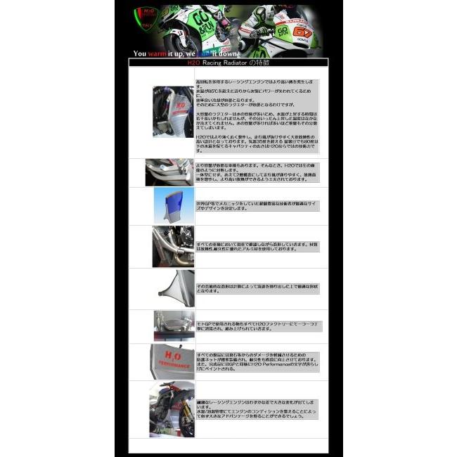 H2O Performance エイチツーオーパフォーマンス レーシングラジエター/オイルクーラーキット MONSTER S4 [モンスター] DUCATI ドゥカティ ラジエーター