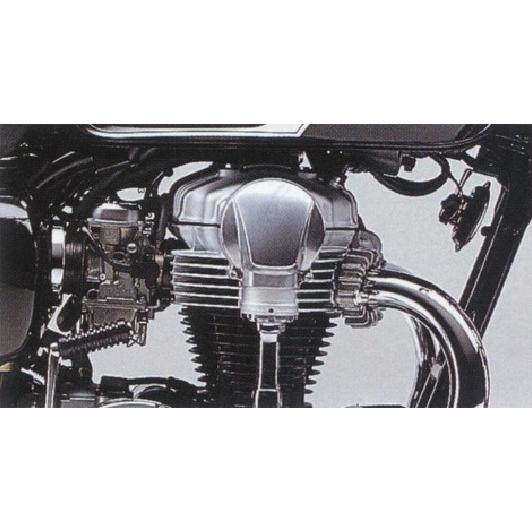 Kawasaki カワサキ ベベルギアカバー W800 KAWASAKI カワサキ その他 