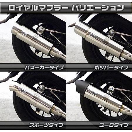 WirusWin（ウイルズウィン） ロイヤルマフラー ポッパータイプ ダンク