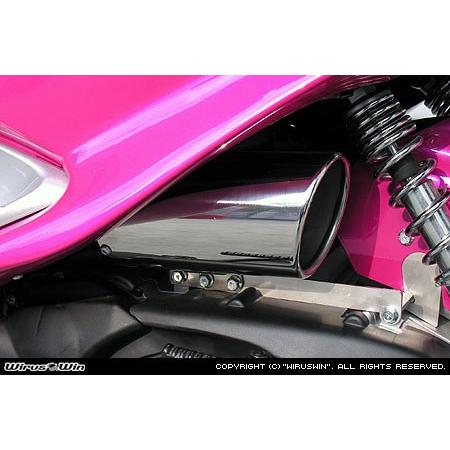 WirusWin - ウイルズウィン キャリパータイプ エアクリーナーキット マジェスティ125 YAMAHA ヤマハ 吸いいれるかかわり合い 発動機