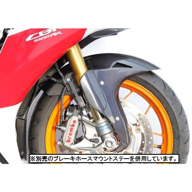 TSR テクニカルスポーツレーシング カーボンフロントフェンダー GP 