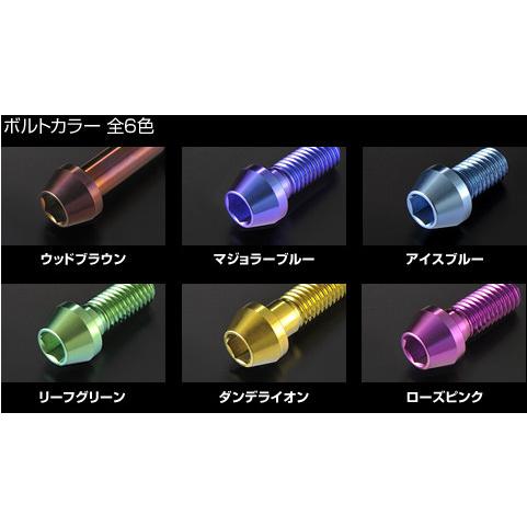 ネジご確認用 WOODSTOCK ウッドストック バックステップキット βチタニウムボルト