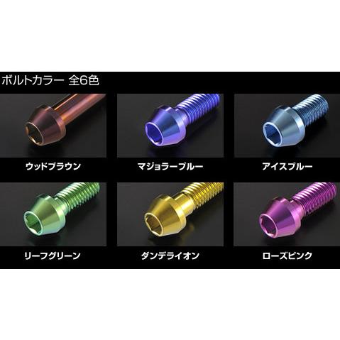 WOODSTOCK ウッドストック &beta;チタニウウムボルト　テーパーキャップバージョンセット キャップボルトカラー：アイスブルー ニンジャ H2 KAWASAKI カワサキ