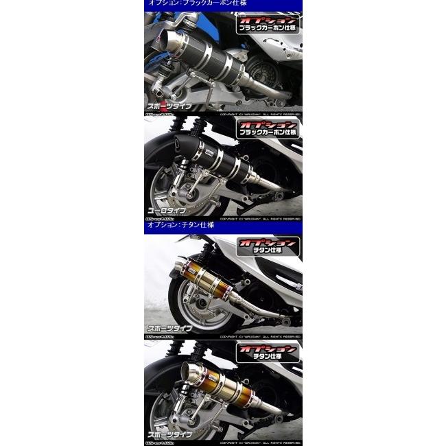 WirusWin - ウイルズウィン ロイヤルえり巻き 印字機：ユーロ印字機 / 操作手順：ブラックカーボンバージョンアップ オプション：キャタライザー（排気ガス斎戒もく浴触媒）