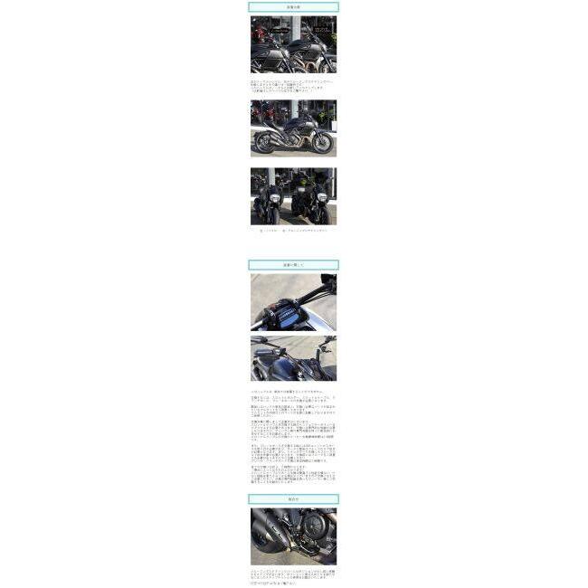de LIGHT ディライト クルージングステアリングバー【フルセット】 DIAVEL [ディアベル] DUCATI ドゥカティ ハンドルキット ハンドルの画像