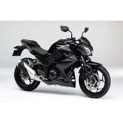 カワサキ（Kawasaki） シングルシートカバーキット Z250 (2013