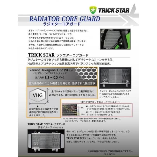 cb1300用ラジエターコアガード TRICK STAR トリックスター / HONDA CB1300SF(03‐21)(23)/SB(05‐21)(23