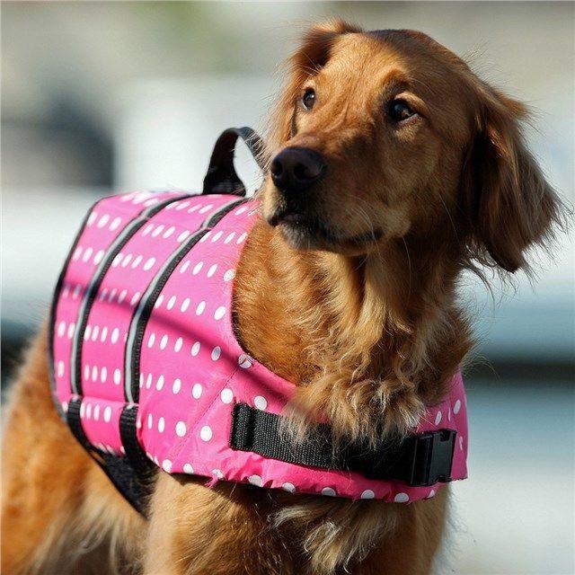 US YAMAHA US YAMAHA:北米ヤマハ純正アクセサリー PAWS ABROAD(R) デザイナードッグライフジャケット【Designer Doggy Life Jacket by Paws Aboard(R)】｜webike02｜02