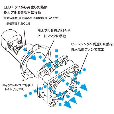 PROTEC PROTEC:プロテック LB7-ZO LEDヘッドライトバルブキット ズーマー HONDA ホンダ｜webike02｜04