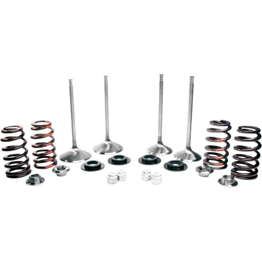 MANLEY マンリー バルブトレインキット 650LIFT05-17TC 【VALV W/SPR.650LIFT05-17TC [0926-0306]】 HARLEY-DAVIDSON ハーレーダビッドソン エンジンパーツ