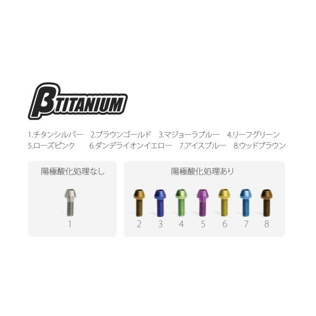 Titanium Engine Kit Yamaha WR250X Flanged Hex | Pro-Bolt | βTITANIUM ベータチタニウム ハンドルクランプ チタンボルトキット マジョーラブルー タイプ：テーパーキャップ Ninja250 KAWASAKI カワサキ ハンドル | その他ハンドルパーツ