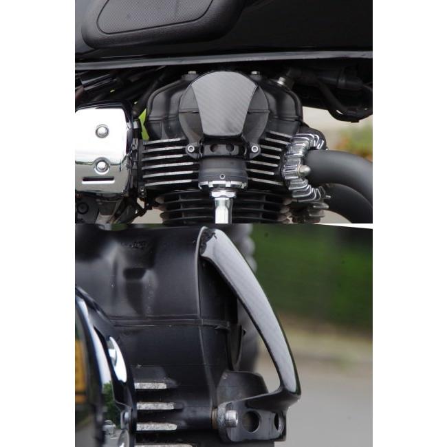 ワールドウォーク World Walk カーボンベベルギアカバー W800 ワールドウォーク World Walk カーボンベベルギアカバー W800