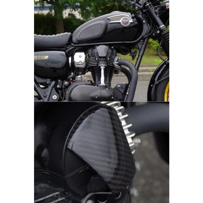 ワールドウォーク World Walk カーボンベベルギアカバー W800 ワールドウォーク World Walk カーボンベベルギアカバー W800