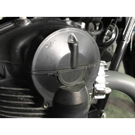ワールドウォーク World Walk カーボンベベルギアカバー W800 ワールドウォーク World Walk カーボンベベルギアカバー W800