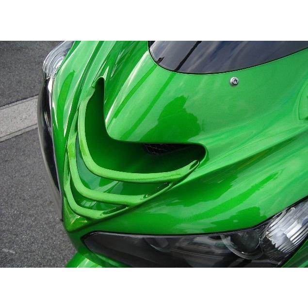 PLEASURE プレジャー ダクトルーバー カラー：パールスターダストホワイト塗装 Ninja ZX-14R KAWASAKI カワサキ エアスクープ・エアダクト 外装