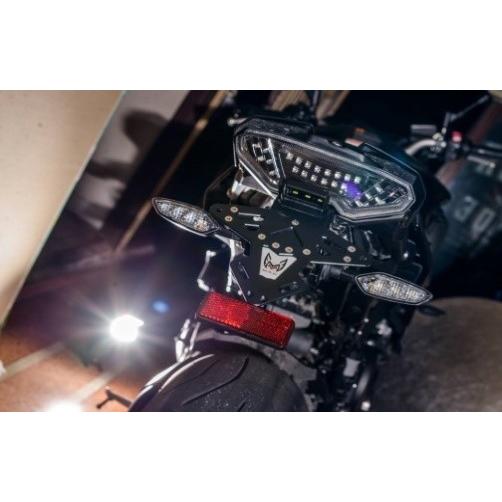 M.A.D. マッド フェンダーレスキット 日本国内ナンバーサイズ対応 SL250 KAWASAKI カワサキ フェンダー関連 外装_2