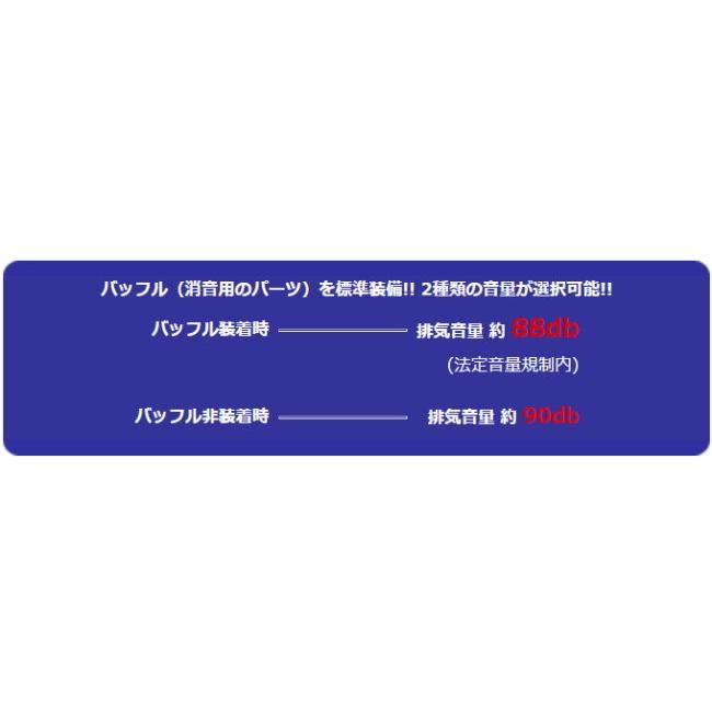 WirusWin ウイルズウィン スリップオンマフラー サイレンサー出口タイプ：スラッシュ / カラー：ブラックカーボン仕様 レブル250 HONDA ホンダ マフラーの画像