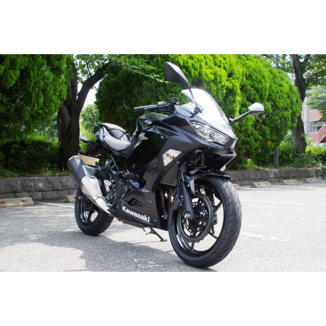 World Walk ワールドウォーク ニンジャ250／400用エンジンガード ニンジャ250 ニンジャ400 KAWASAKI カワサキ エンジンスライダー・フレームスライダー_9