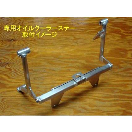 Bull Docker TAGOS（ブルドッカータゴス） ラジエターステー カラー