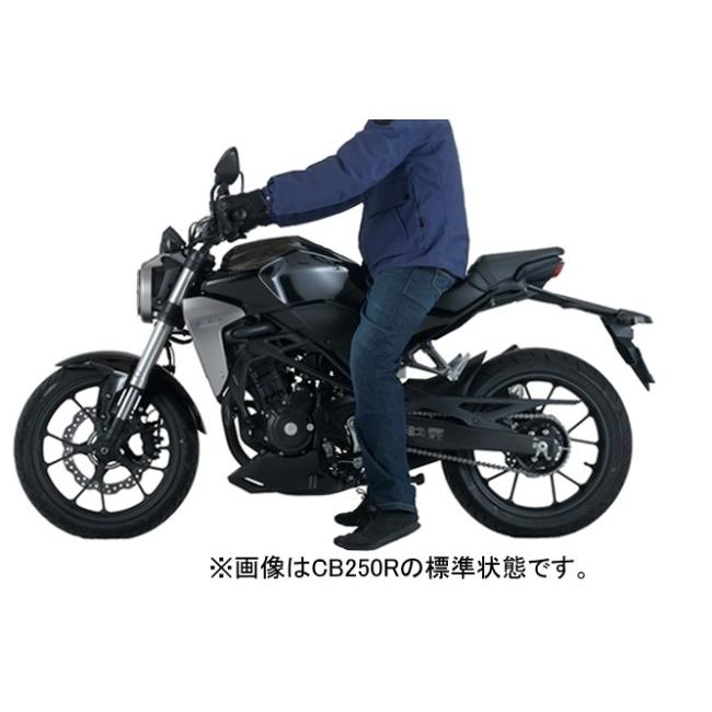 EFFEX エフェックス ローダウンCOMPキット CB250R CB125R HONDA ホンダ