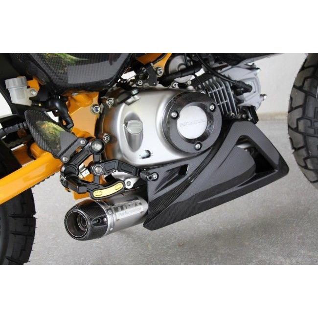 TYGA Performance（タイガパフォーマンス） アンダーカウル モンキー