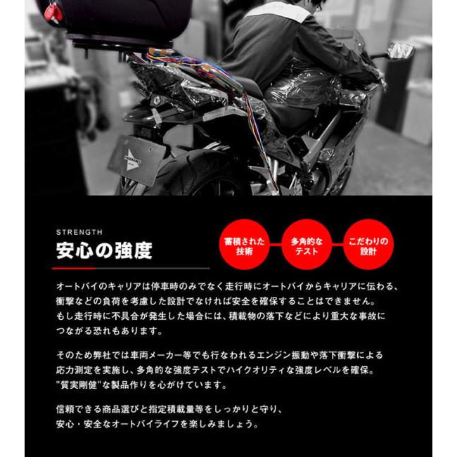 ENDURANCE（エンデュランス） リアキャリア＋リアボックスセット50L