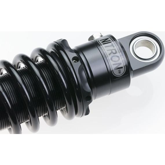 ナイトロン トライアンフ スピードツイン ローダウンサス