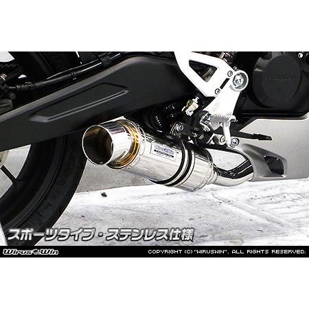 WirusWin ウイルズウィン ダイナミックマフラー サイレンサーメイン