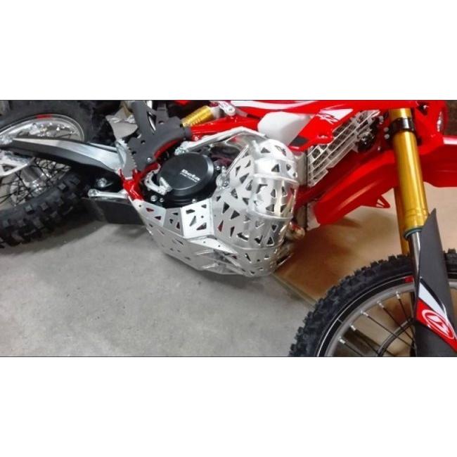 P-TECH ピーテック スキッド+チャンバーガード RR 250 300 BETA ベータ