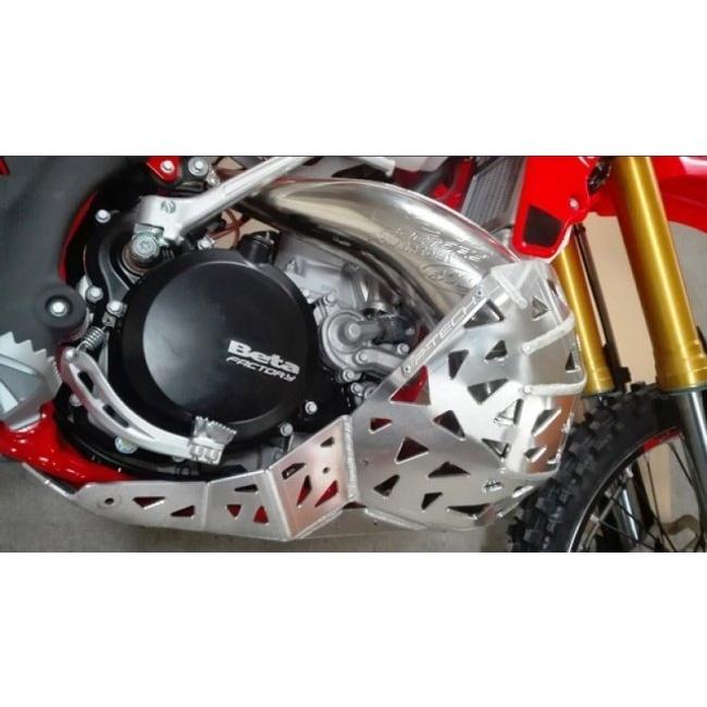 P-TECH ピーテック スキッド+チャンバーガード RR 250 300 BETA ベータ