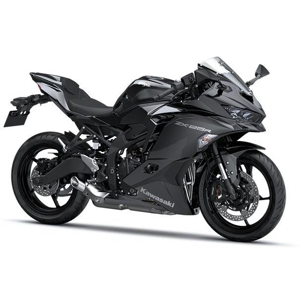 カワサキ（Kawasaki） シングルシートカバー カラー：メタリック