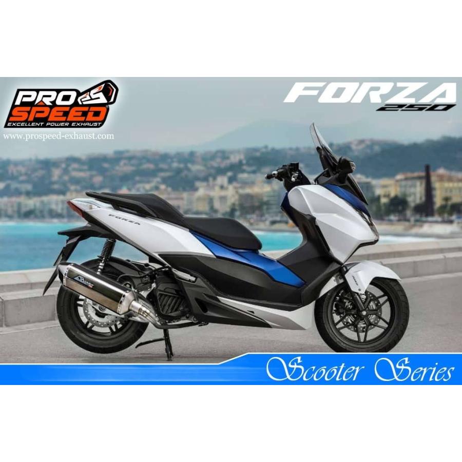 【美品】 PROSPEED プロスピード フルシステムエキゾーストマフラー