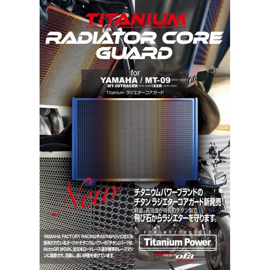 MT-09 チタンラジエーターコアガード Titanium Power Titanium Power MT09 ラジエター関連パーツ チタン ラジエター