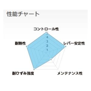 バイク SUNSTAR サンスター WORKS EXPAND [ワークスエキスパンド