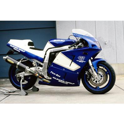 CLEVER WOLF（クレバーウルフ） アッパーカウル タイプII GSX-R1100