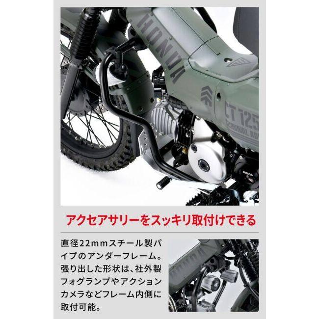 ZETA RACING ジータ レーシング エンジンプロテクション アンダー