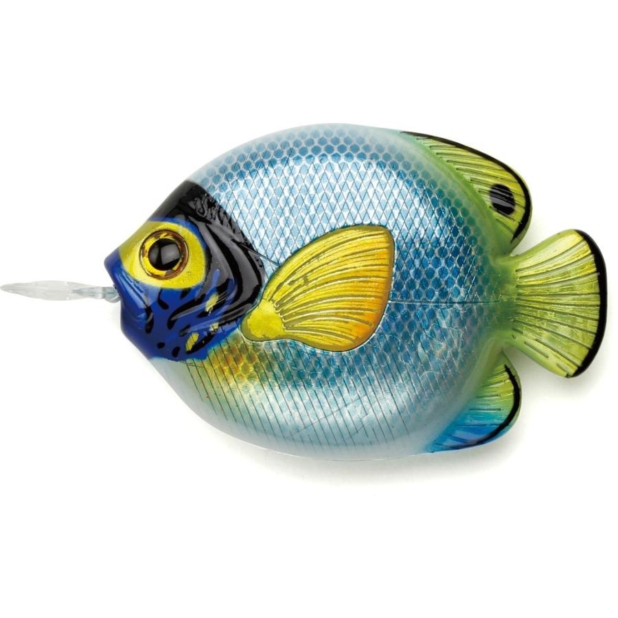StreamTrai ストリームトレイル FISH MEASURE [フィッシュメジャー] タイプ：アデヤッコ｜webike02