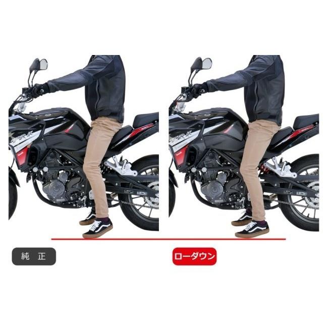 EFFEX エフェックス ローダウンキット TRK251 BENELLI ベネリ サスペンション 足回りの画像