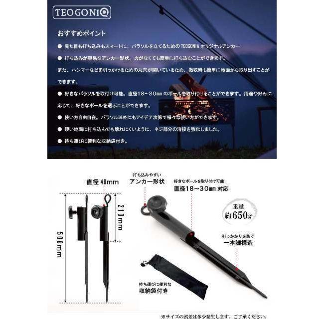 ai-net アイネット 【TEOGONIA／テオゴニア】 ポールアンカー50 その他キャンプ・アウトドア用品 | アイネット | 08